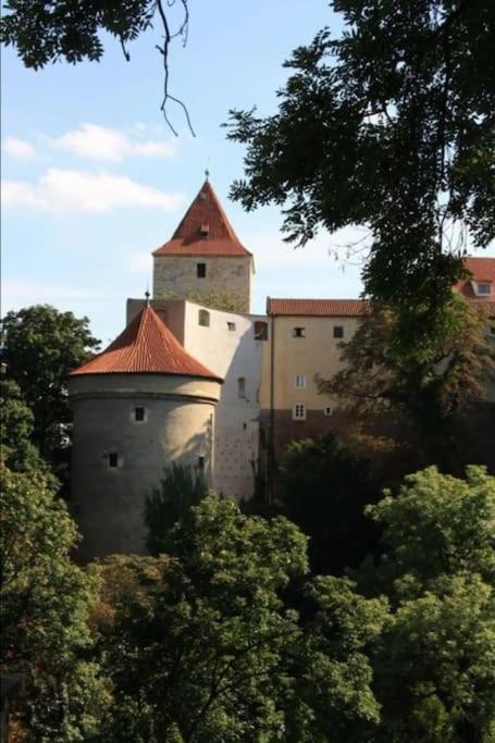 Apartment Huge 5-bedrooms Near Castle